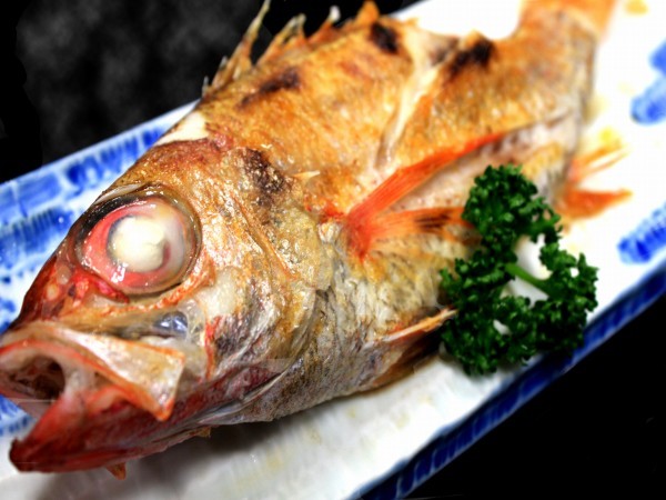 Sakai-shi Japan Last Minute Discount Code Agoda.com