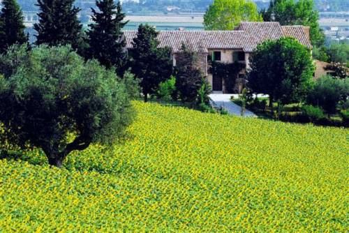 Jesi Italien Last-Minute-Rabattcode Booking.com