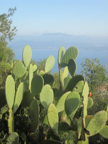 Ajaccio Frankreich Last-Minute-Rabattcode Booking.com
