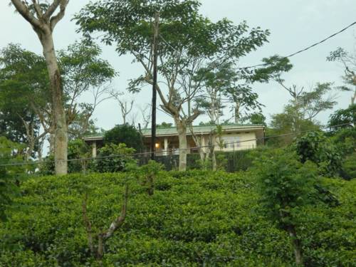 Deniyaya Sri Lanka Último Minuto Código de Descuento Booking.com