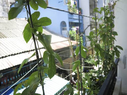 Ho Chi Minh Viet Nam Last Minute Discount Code Booking.com