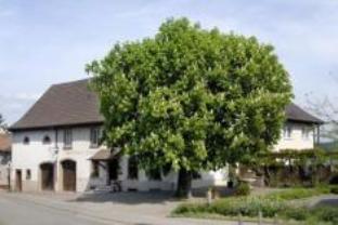 Lorrach Germany Last Minute Discount Code Agoda.com