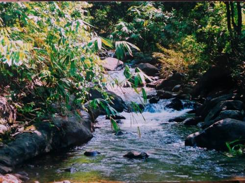 Kalikavu India Last Minute Discount Code Booking.com