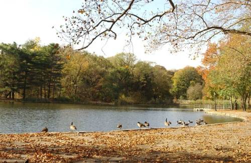 Brooklyn (New York) United States Last Minute Discount Code Booking.com