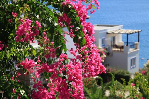 Bitez(Bodrum) Turkey Last Minute Discount Code Booking.com