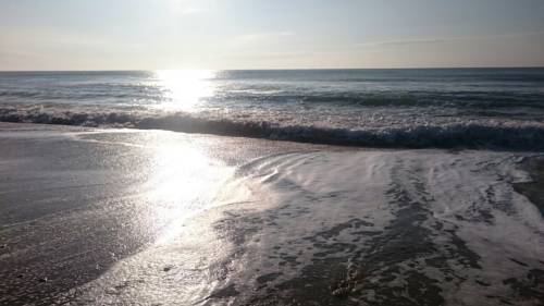 Berehove Crimea Last Minute Discount Code Booking.com