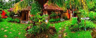 Lombok Indonesia Last Minute Discount Code Agoda.com