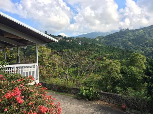 Kingston Jamaica Last Minute Discount Code Agoda.com