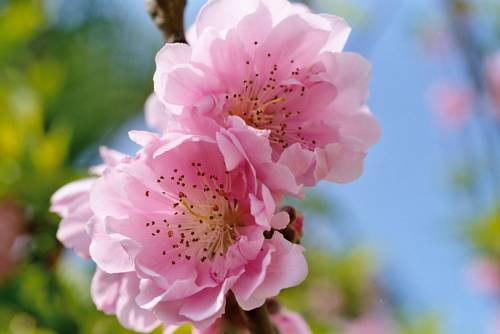 Jiaxing China Last Minute Discount Code Booking.com