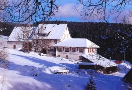Lenzkirch Germany Last Minute Discount Code Booking.com