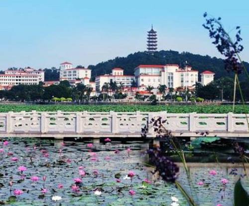 Dongguan China Last Minute Discount Code Booking.com