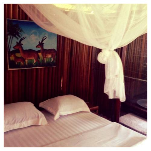 Mbalmayo Cameroon Last Minute Discount Code Booking.com