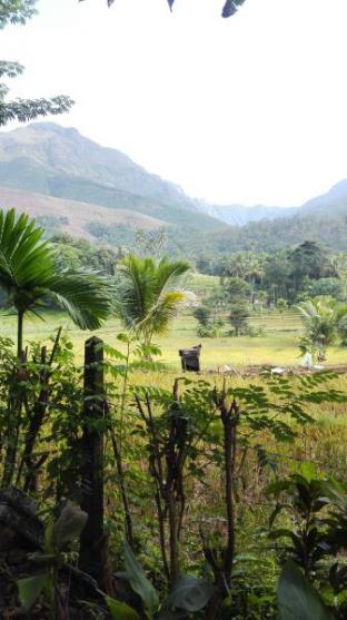 Rathnapura Sri Lanka Last Minute Discount Code Agoda.com