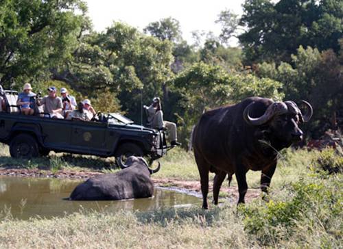 Timbavati Game Reserve Südafrika Last-Minute-Rabattcode Booking.com