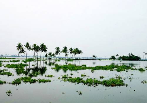 Alleppey India Último Minuto Código de Descuento Booking.com