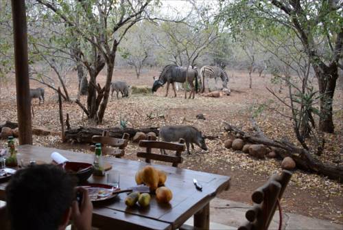 Marloth Park Südafrika Last-Minute-Rabattcode Booking.com