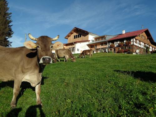 Waltenhofen Germany Last Minute Discount Code Booking.com