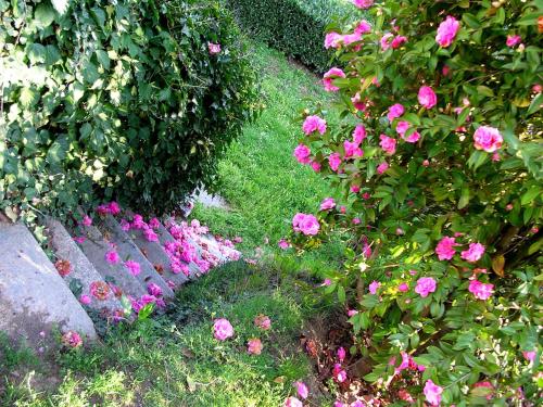 Biella Italy Last Minute Discount Code Agoda.com