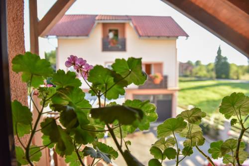 Gospić Croatia Last Minute Discount Code Booking.com