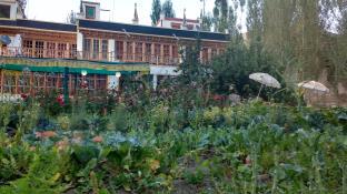 Leh India Last Minute Discount Code Agoda.com