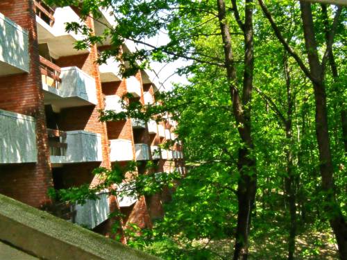 Primorsko Bulgaria Último Minuto Código de Descuento Booking.com