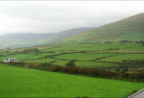 Valle arbolado Irlanda Último Minuto Código de Descuento Booking.com