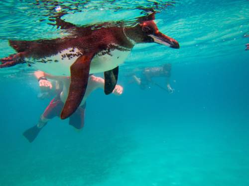 Puerto Villamil Ecuador Last-Minute-Rabattcode Booking.com
