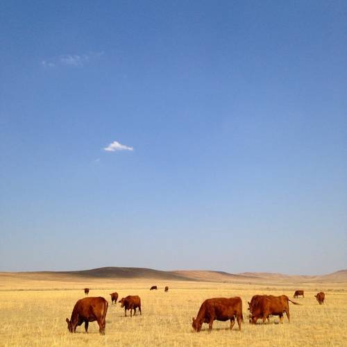 Roadside South Africa Last Minute Discount Code Booking.com