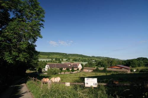 Ingelheim Germany Last Minute Discount Code Booking.com