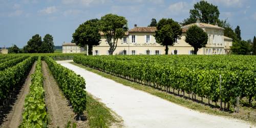 Saint-Emilion Francia Último Minuto Código de Descuento Booking.com
