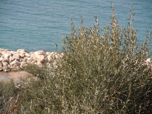 MassaLubrense Italien Last-Minute-Rabattcode Booking.com