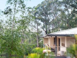 Mount Dandenong Ranges Australia Last Minute Discount Code Agoda.com
