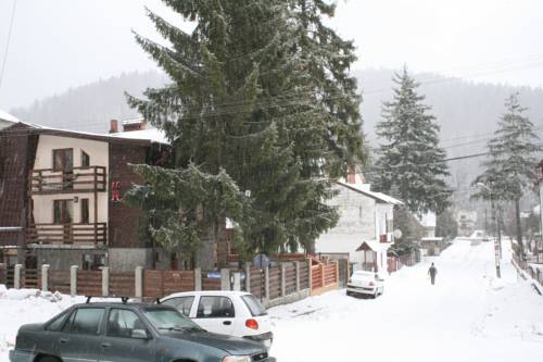 Buşteni Romania Last Minute Discount Code Booking.com