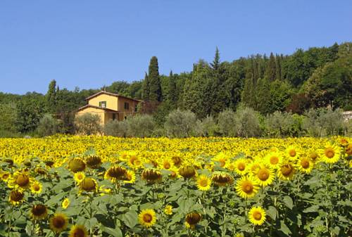 Molino del Piano Italien Last-Minute-Rabattcode Booking.com