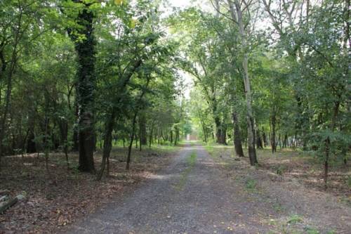 Dömsöd Hungary Last Minute Discount Code Booking.com