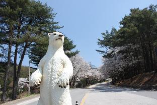 Pocheon South Korea Last Minute Discount Code Agoda.com