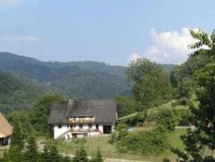 Bad Peterstal-Griesbach Germany Last Minute Discount Code Agoda.com