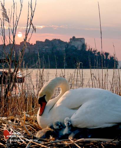 Anguillara Sabazia Italy Last Minute Discount Code Booking.com