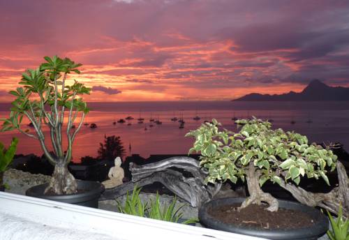 Punaauia French Polynesia Last Minute Discount Code Booking.com