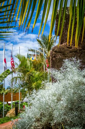Hanga Roa Chile Last Minute Discount Code Booking.com