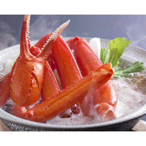 Kami Japan Last Minute Discount Code Agoda.com
