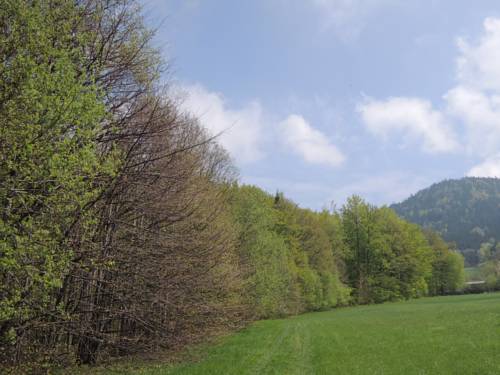 Frýdlant nad Ostravicí Czech republic Last Minute Discount Code Booking.com