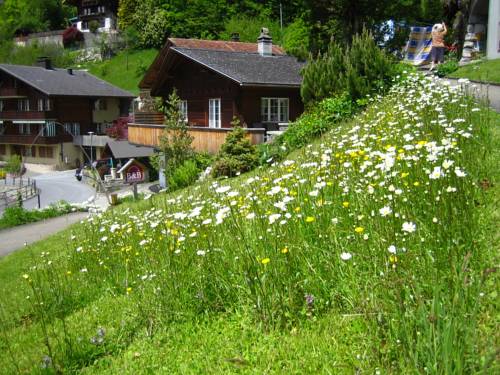 Brienz Switzerland Last Minute Discount Code Booking.com
