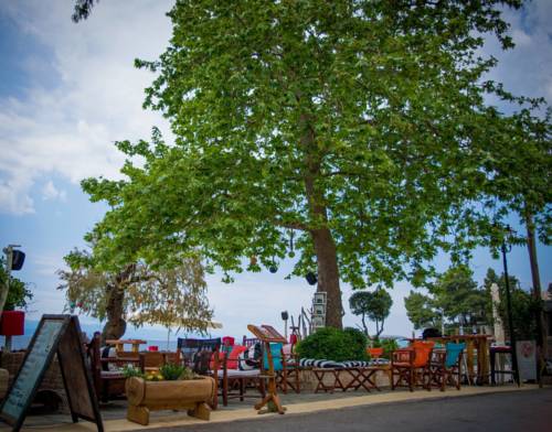Afissos Greece Last Minute Discount Code Booking.com