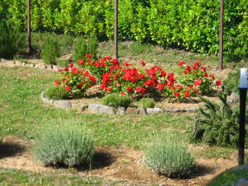 Orvieto Italy Last Minute Discount Code Booking.com