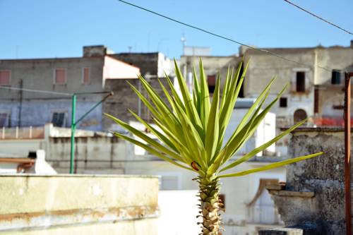 Canosa di Puglia Italy Last Minute Discount Code Booking.com