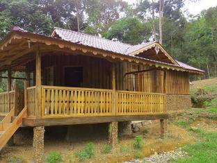 Bukit Lawang Indonesia Last Minute Discount Code Agoda.com