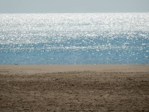 Gruissan France Last Minute Discount Code Booking.com