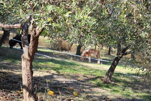 Roseto degli Abruzzi Italy Last Minute Discount Code Booking.com