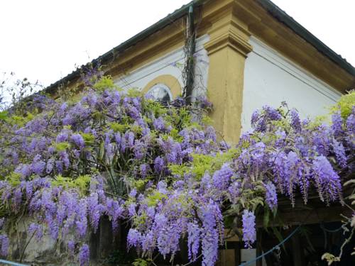 Ouro Preto (Minas Gerais) Brasilien Last-Minute-Rabattcode Booking.com
